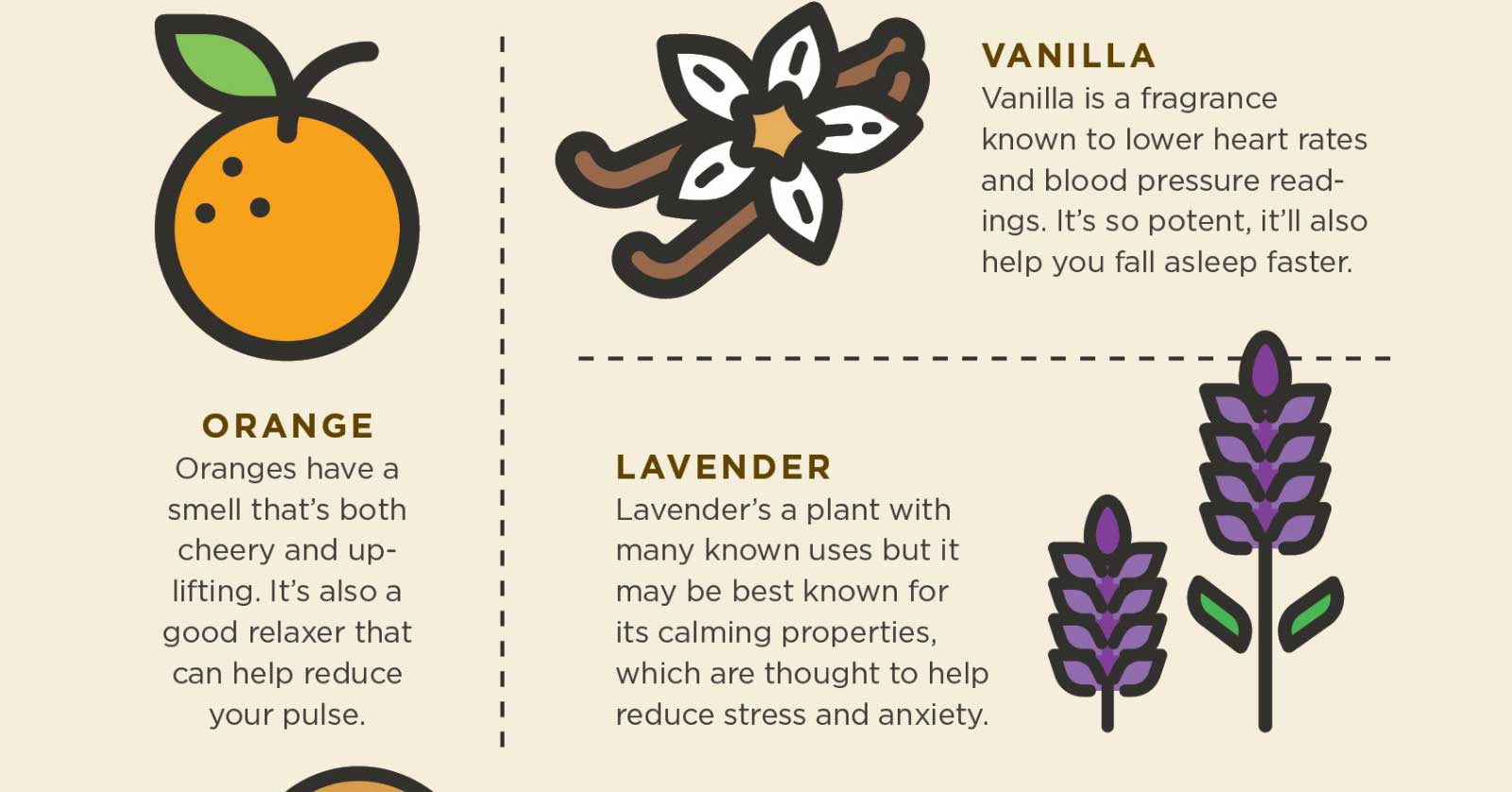 INFOGRAPHIC The Smell Test